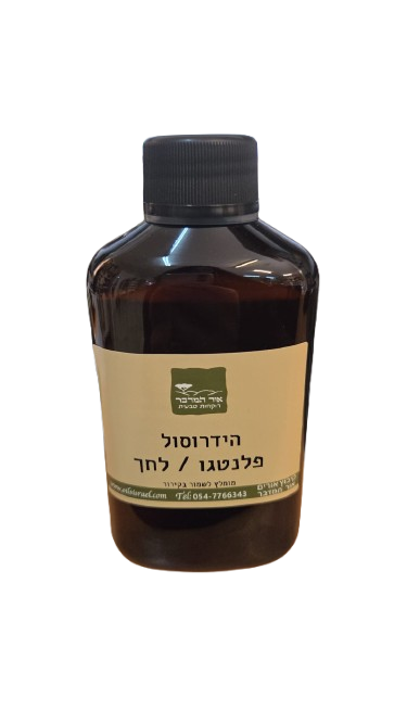הידרוסול פלנטגו 100% טהור