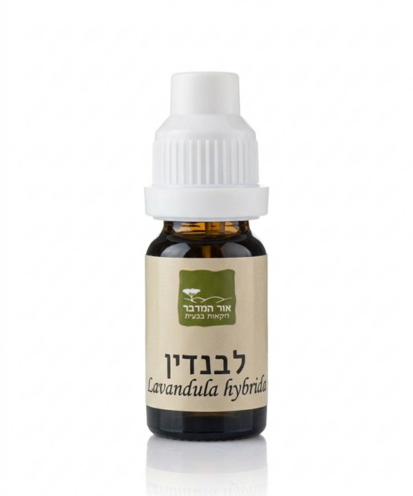 שמן אתרי לבנדין 100% טהור Lavandula hybrida