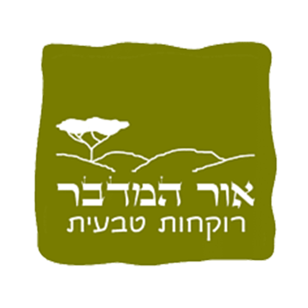 ממלא מקום