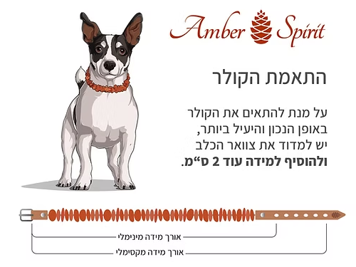 קולר ענברים בלטים גולמי מרחיק פרעושים וקרציות טבעי - Amber Spirit – תמונה 2