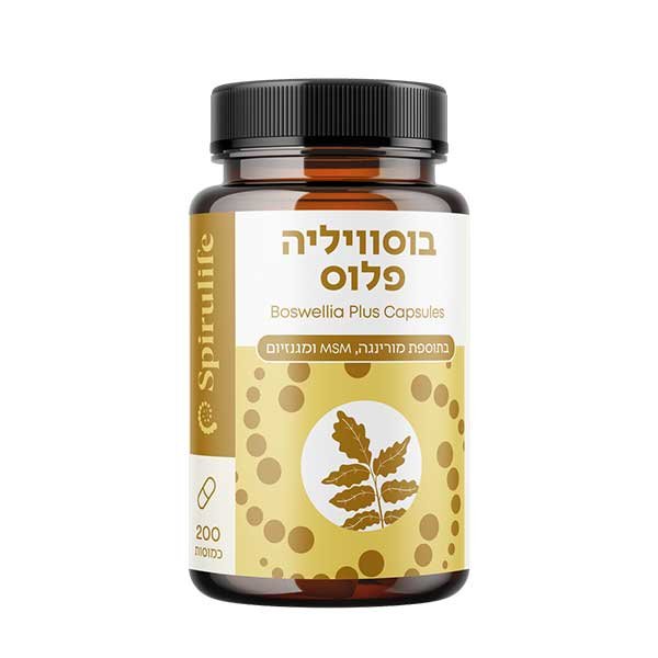 בוסווליה פלוס