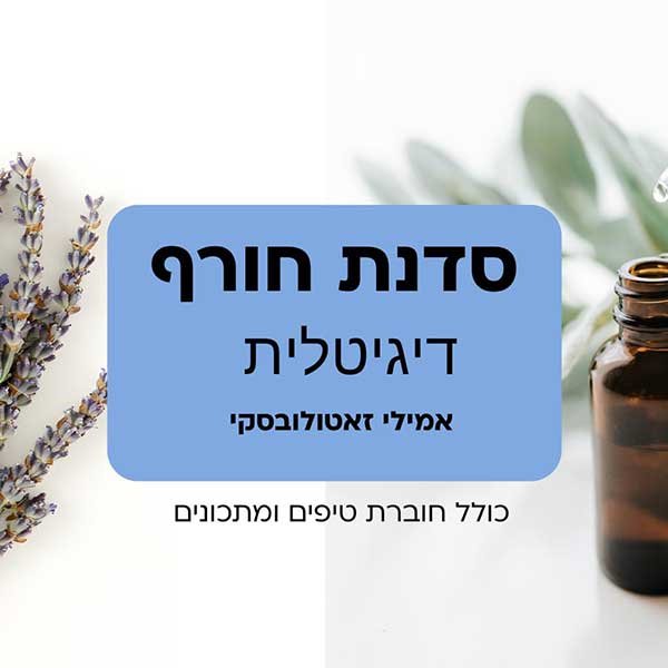 סדנת חורף דיגיטלית