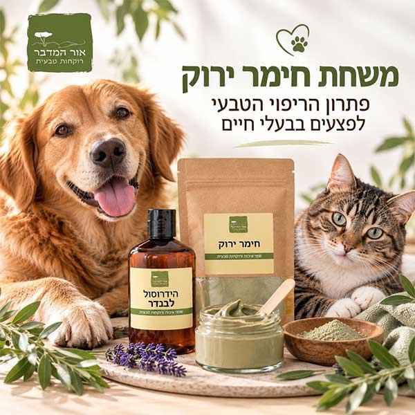 משחת חימר ירוק לבעלי חיים